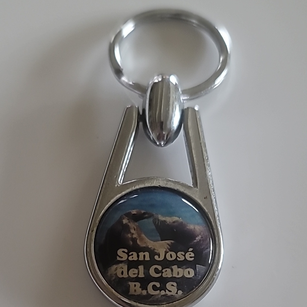 Key Chain San Jose del Carbo Rosort Baha Mexico tropical